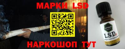 амф Донецк