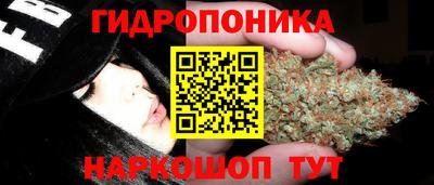 амф Донецк