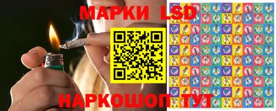 амф Донецк