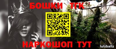 спиды Дубна