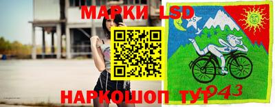 спиды Дубна