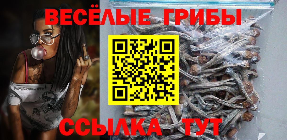 Псилоцибиновые грибы Psilocybe Кушва