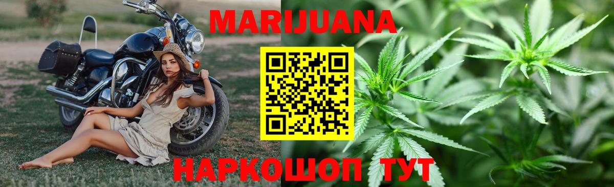 Бошки марихуана OG Kush Кушва